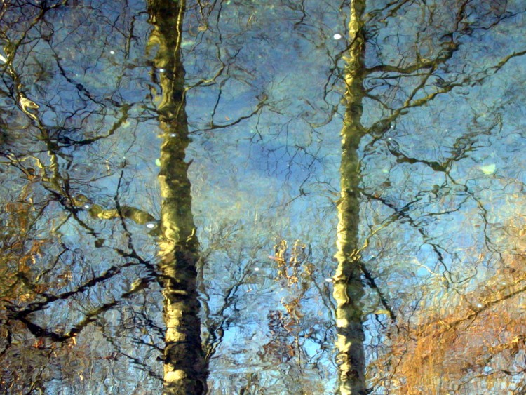 Wallpapers Nature Water - Reflection Reflets