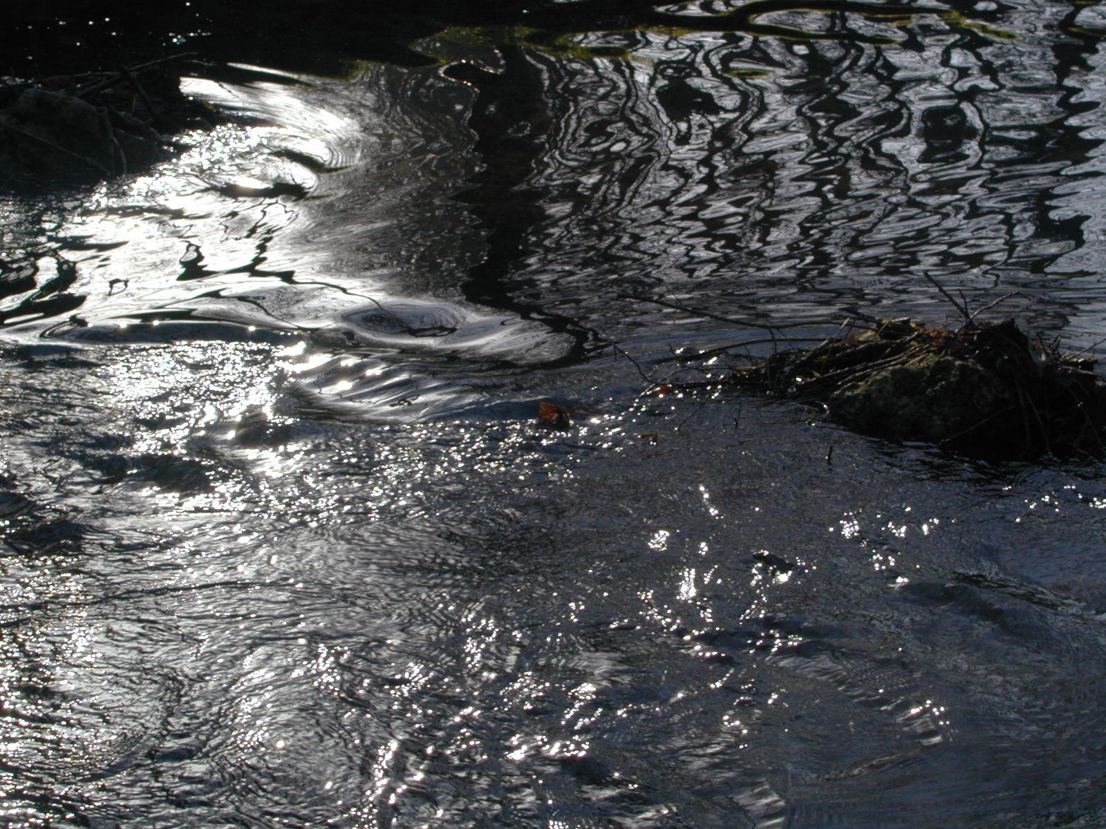 Wallpapers Nature Water - Reflection Reflets