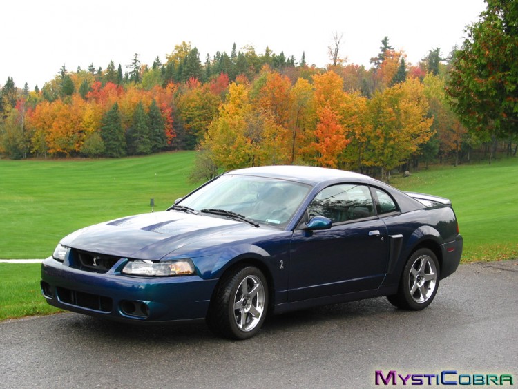 Wallpapers Cars Mustang Cobra  l'automne (MystiCobra)