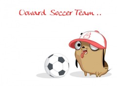 Fonds d'cran Animaux Ooward Soccer Team