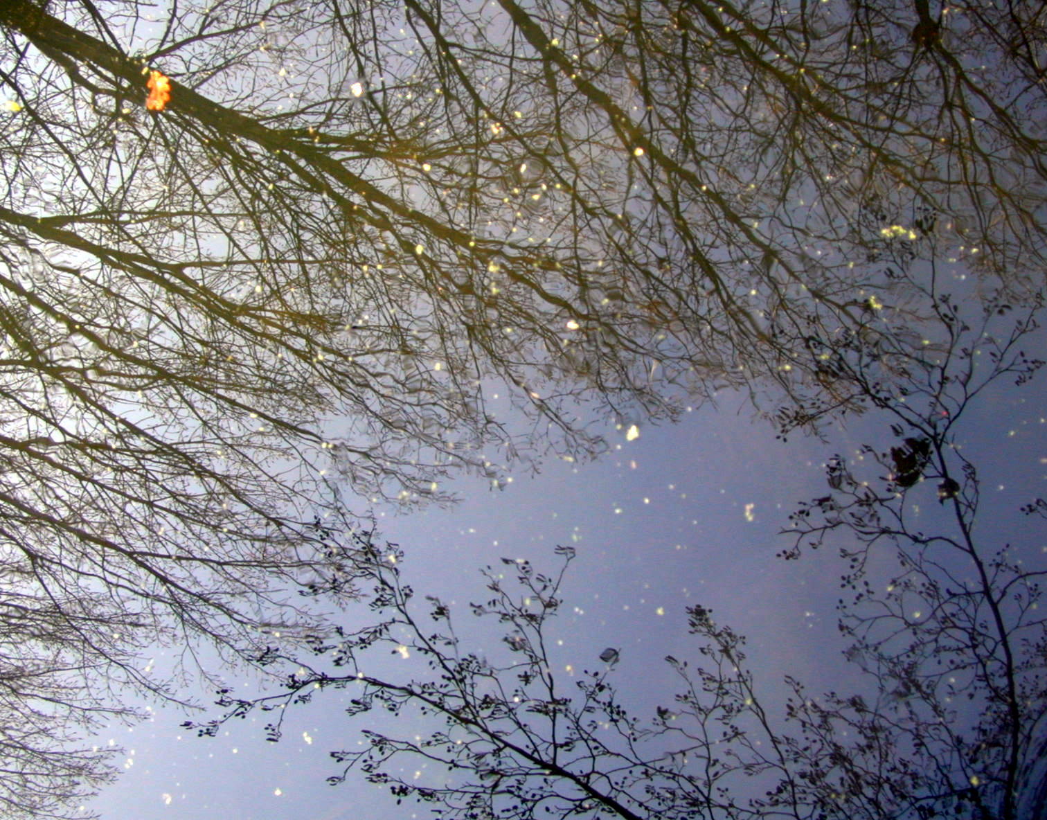 Wallpapers Nature Water - Reflection Reflets