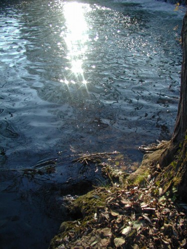 Wallpapers Nature Water - Reflection Reflets