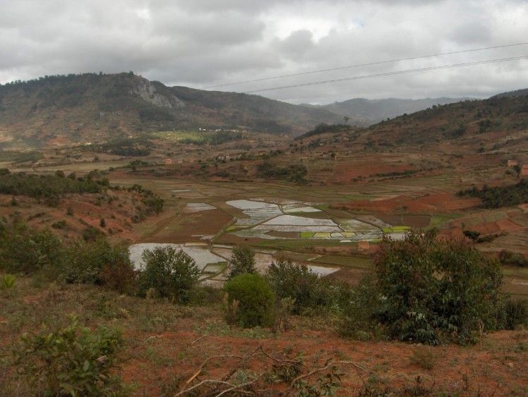 Wallpapers Trips : Africa Madagascar Dans les rizires, de Fianarantsoa  Antsirab