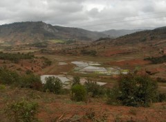 Fonds d'cran Voyages : Afrique Dans les rizires, de Fianarantsoa  Antsirab