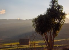 Fonds d'cran Voyages : Afrique Un petit coin tranquille pour la retraite  Mada...