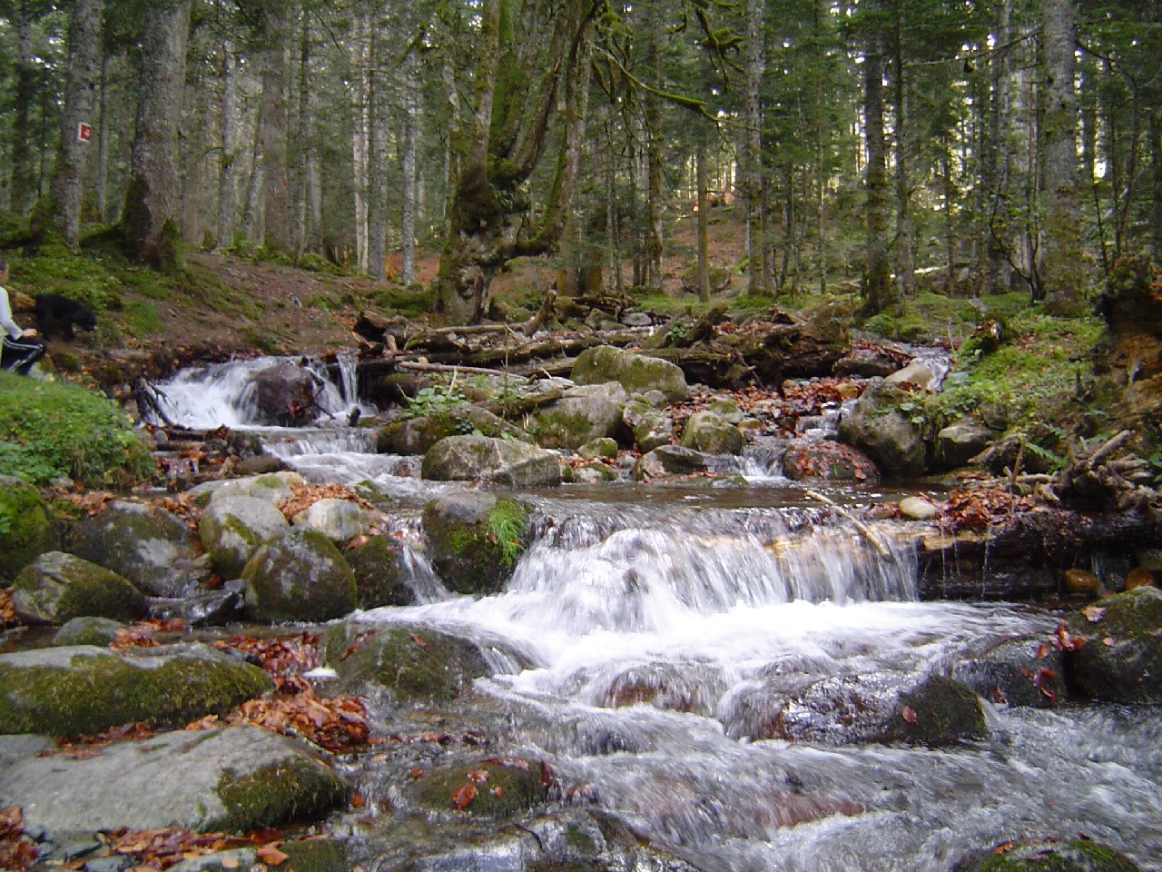 Fonds d'cran Nature Cascades - Chutes 