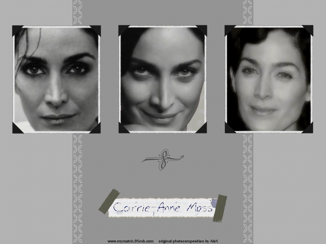 Fonds d'cran Clbrits Femme Carrie-Anne Moss The Collection