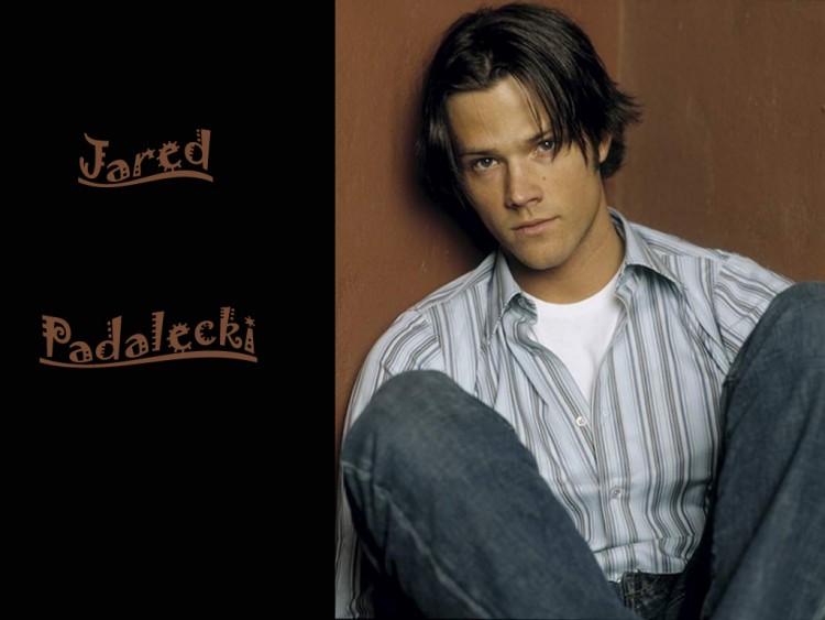 Fonds d'cran Clbrits Homme Jared Padalecki Jared