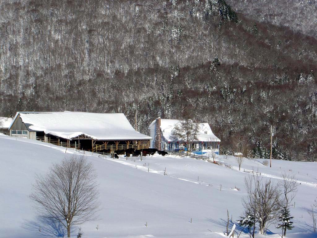 Fonds d'cran Nature Saisons - Hiver LE CALME DE LA NATURE