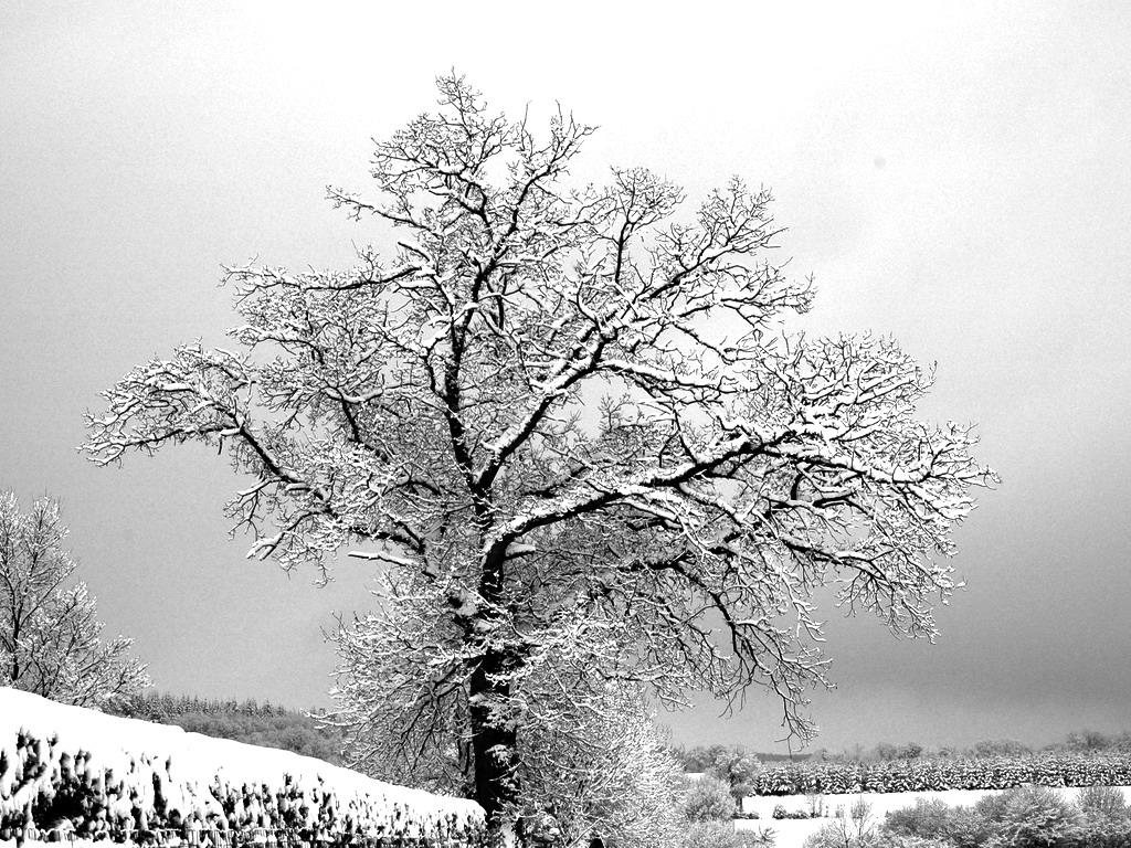 Fonds d'cran Nature Montagnes la neige en normandie