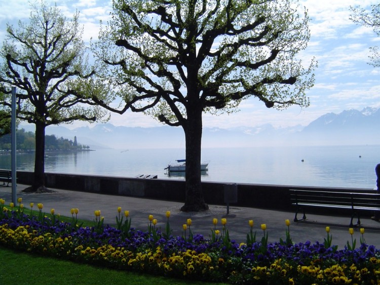 Wallpapers Trips : Europ Switzerland Lausanne-Ouchy, au bord du Lac Lman 2