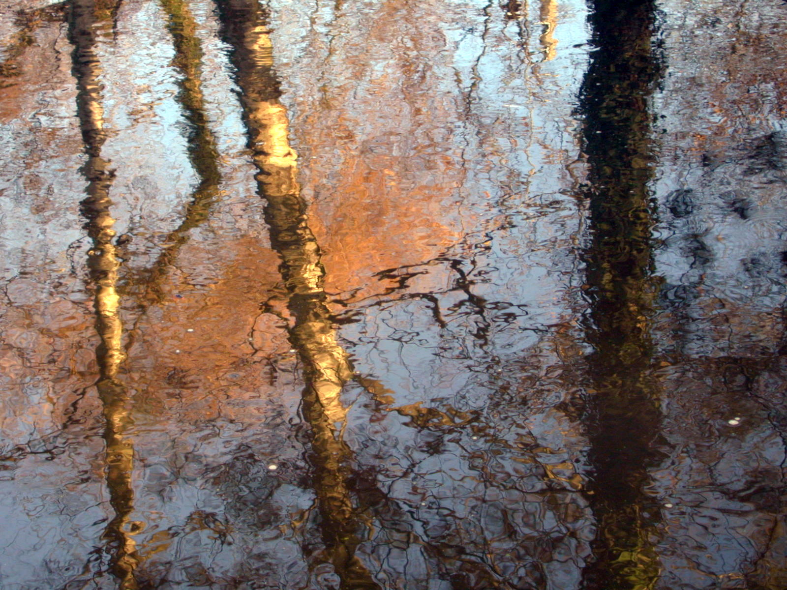 Fonds d'cran Nature Eau - Reflets Reflets