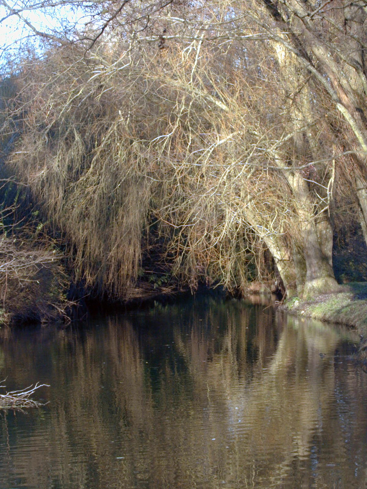 Wallpapers Nature Rivers - Torrents Le Fusain