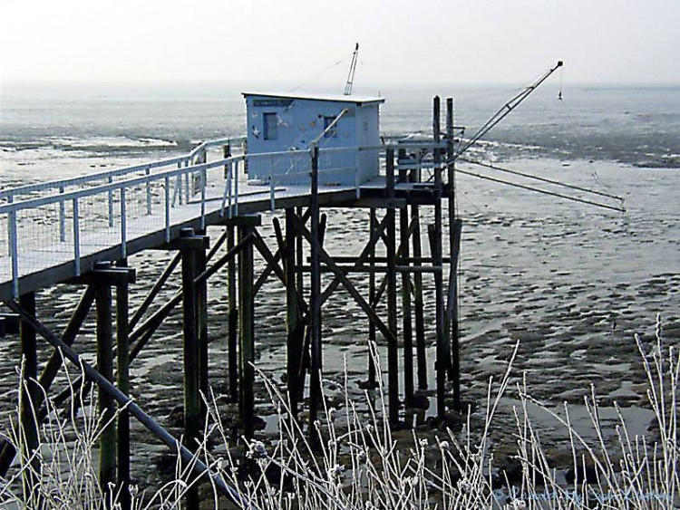 Fonds d'cran Nature Mers - Ocans - Plages Le Carrelet Givr