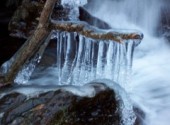 Fonds d'cran Nature Harpe de Glace