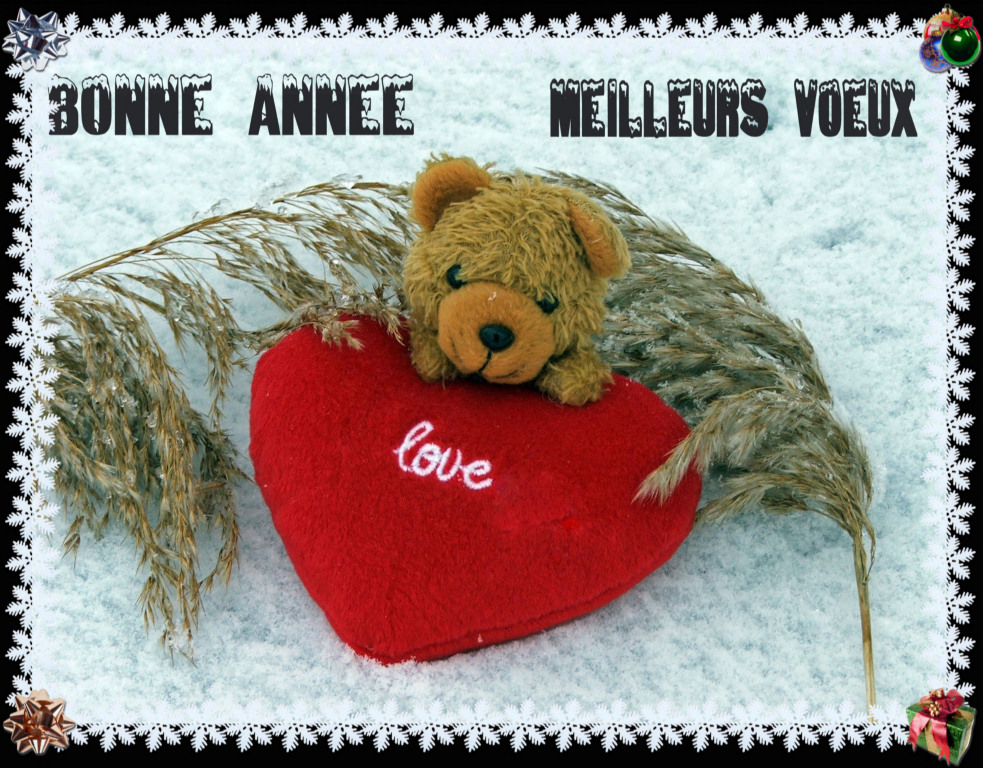 Wallpapers Objects Cuddly Bonne Anne et Meilleurs voeux  tous !