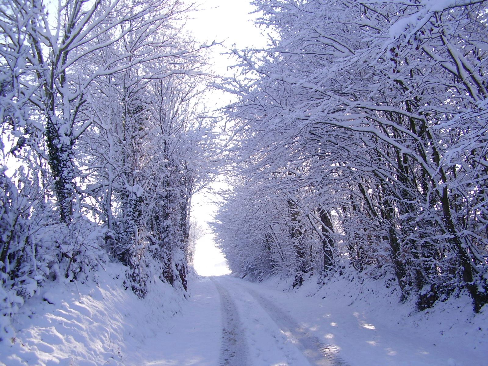 Wallpapers Nature Saisons - Winter Petit chemin sous la neige