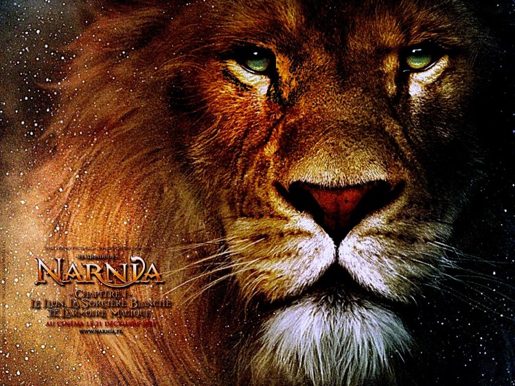 Fonds d'cran Cinma Le Monde de Narnia: Chapitre 1 - le Lion, la Sorcire Blanche et l'Armoire Magique chapitre 1