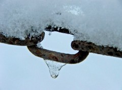 Fonds d'cran Nature Les jours sont gris, larmes d'espoir gels