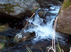 Fonds d'cran Nature Chute avec harpe de glace