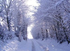 Fonds d'cran Nature Petit chemin sous la neige