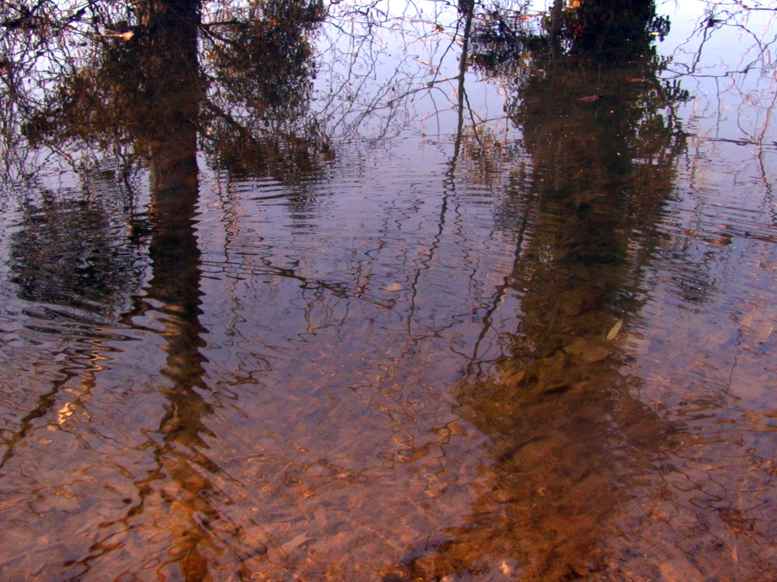 Wallpapers Nature Water - Reflection Reflets