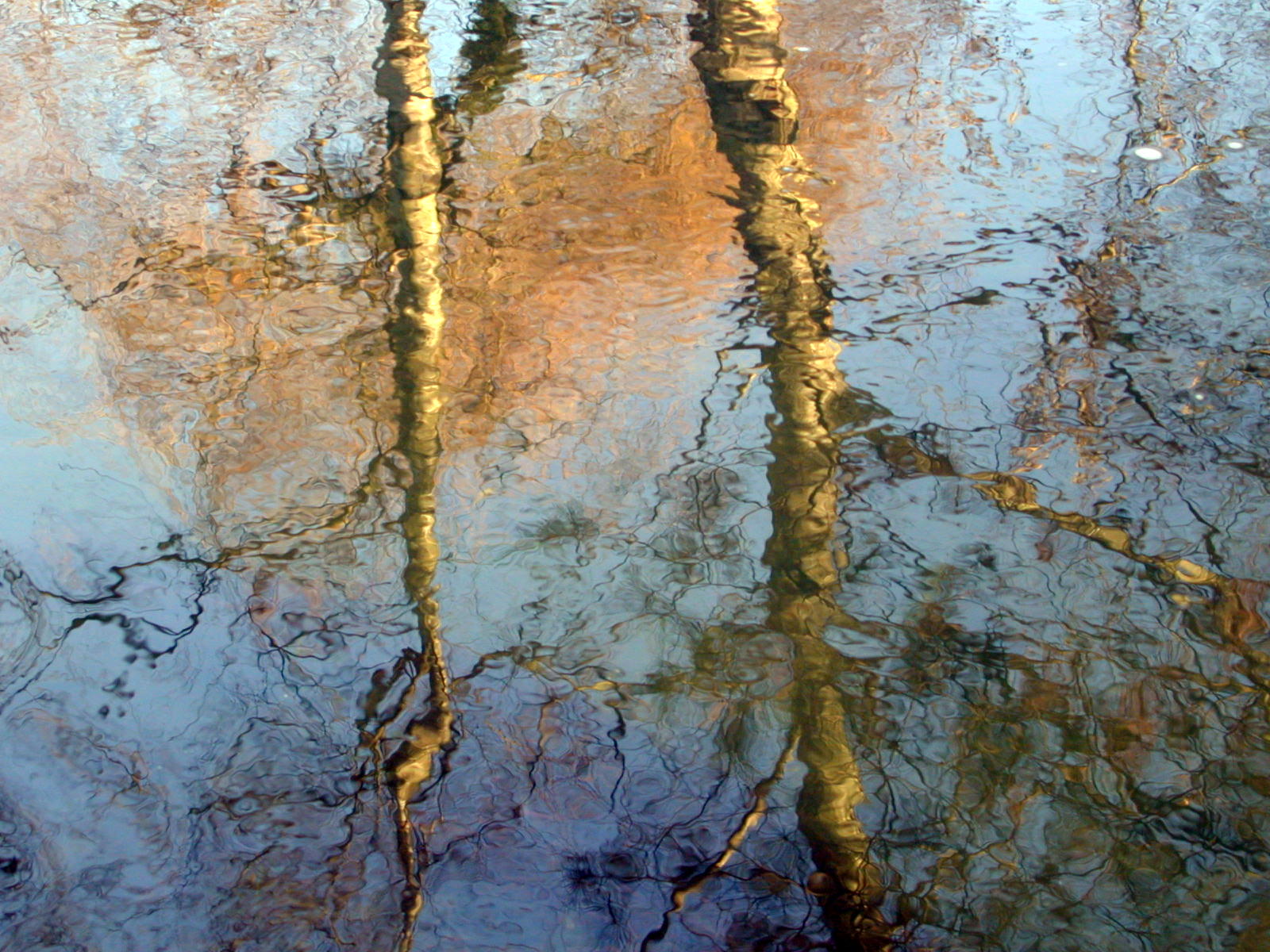 Wallpapers Nature Water - Reflection Reflets