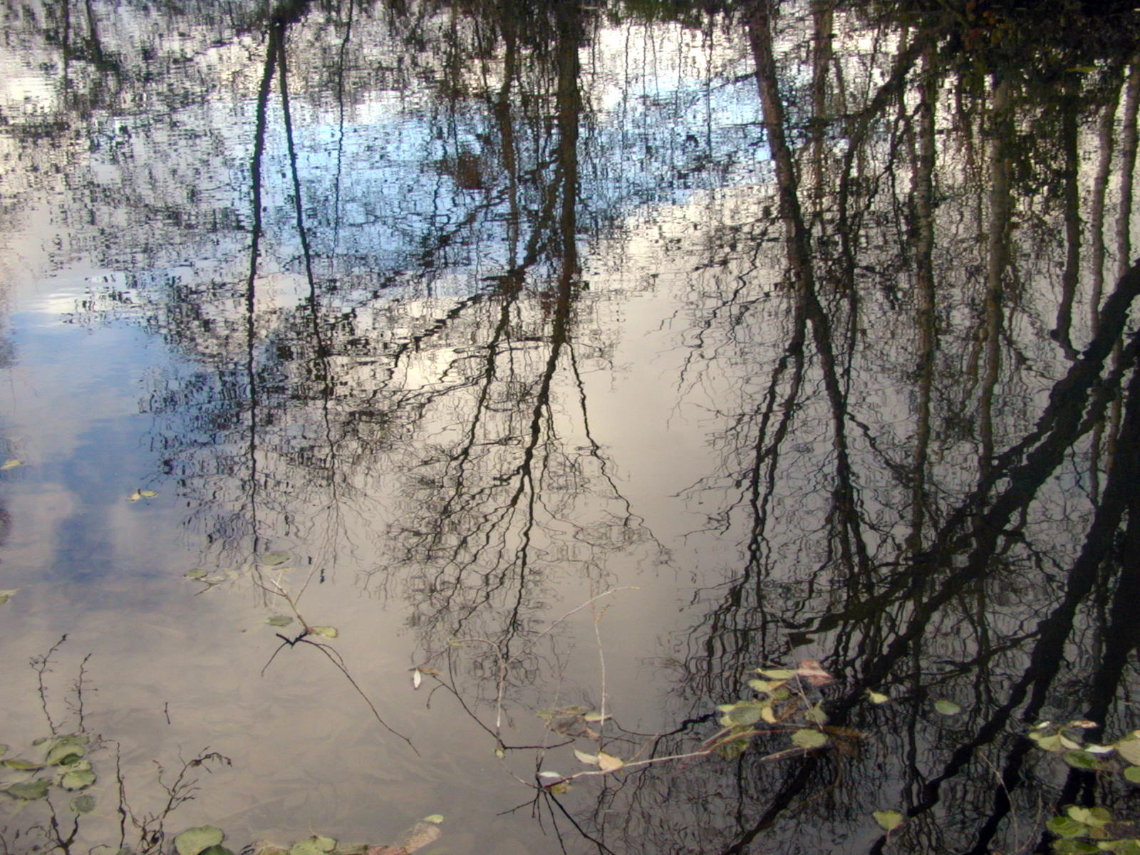 Wallpapers Nature Water - Reflection Reflets