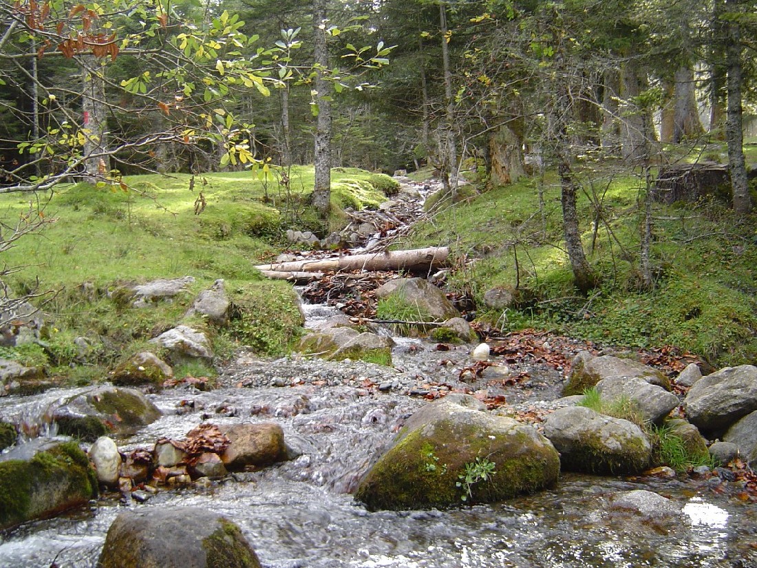 Fonds d'cran Nature Fleuves - Rivires - Torrents 