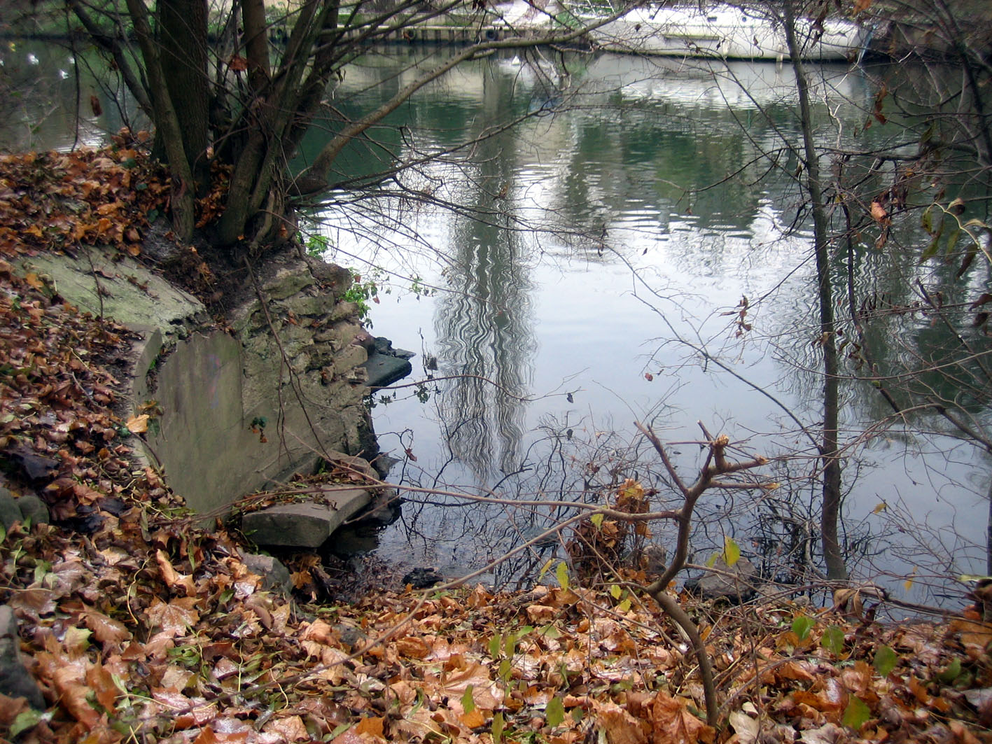 Wallpapers Nature Water - Reflection Vaux sur seine!!