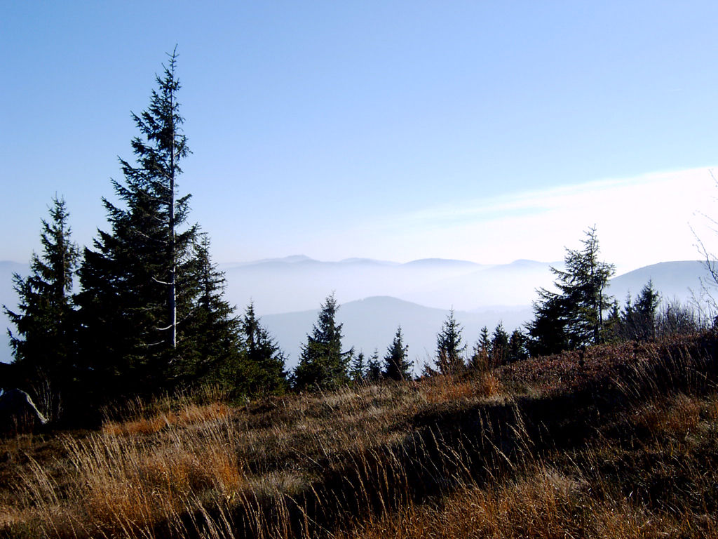 Fonds d'cran Voyages : Europe France > Alsace Montagnes vosgiennes