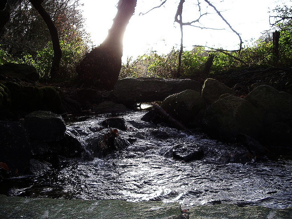 Fonds d'cran Nature Fleuves - Rivires - Torrents petit cour d eau