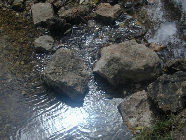 Wallpapers Nature Water - Reflection Reflets