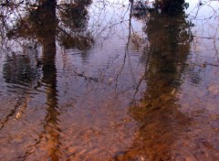 Fonds d'cran Nature Reflets