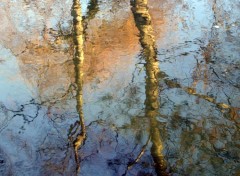 Fonds d'cran Nature Reflets