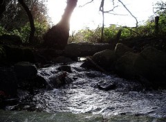 Fonds d'cran Nature petit cour d eau