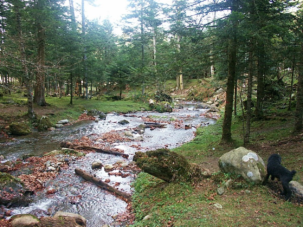 Fonds d'cran Nature Fleuves - Rivires - Torrents 