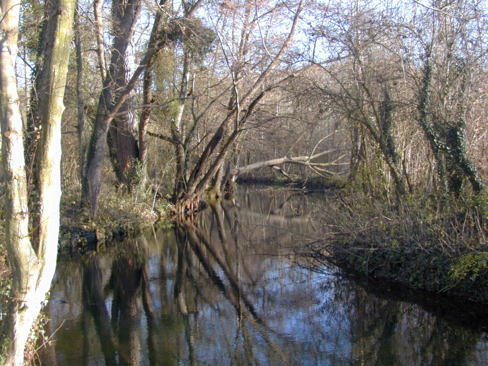 Fonds d'cran Nature Fleuves - Rivires - Torrents Le Fusain