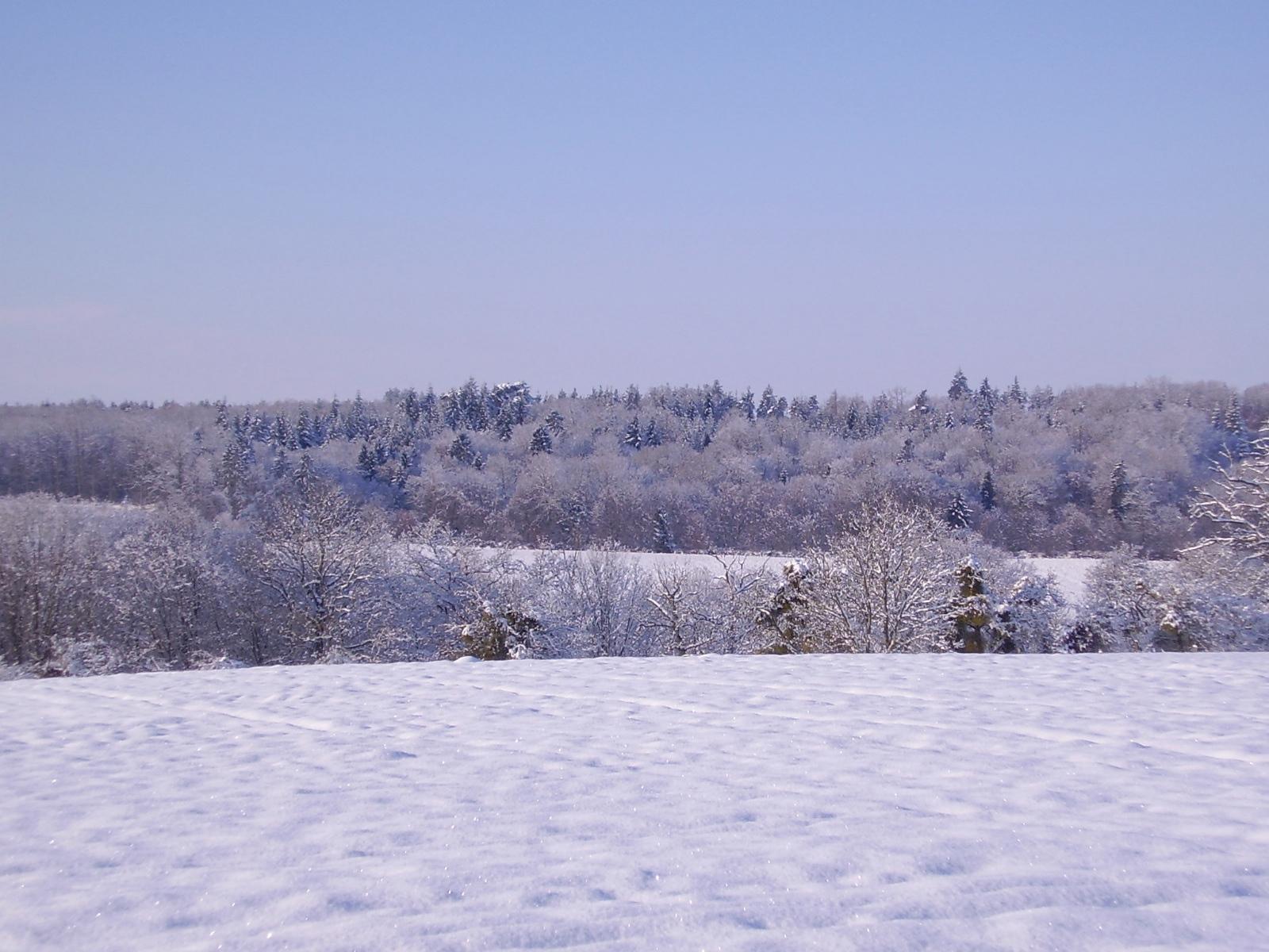 Wallpapers Nature Saisons - Winter Campagne Normande sous la neige