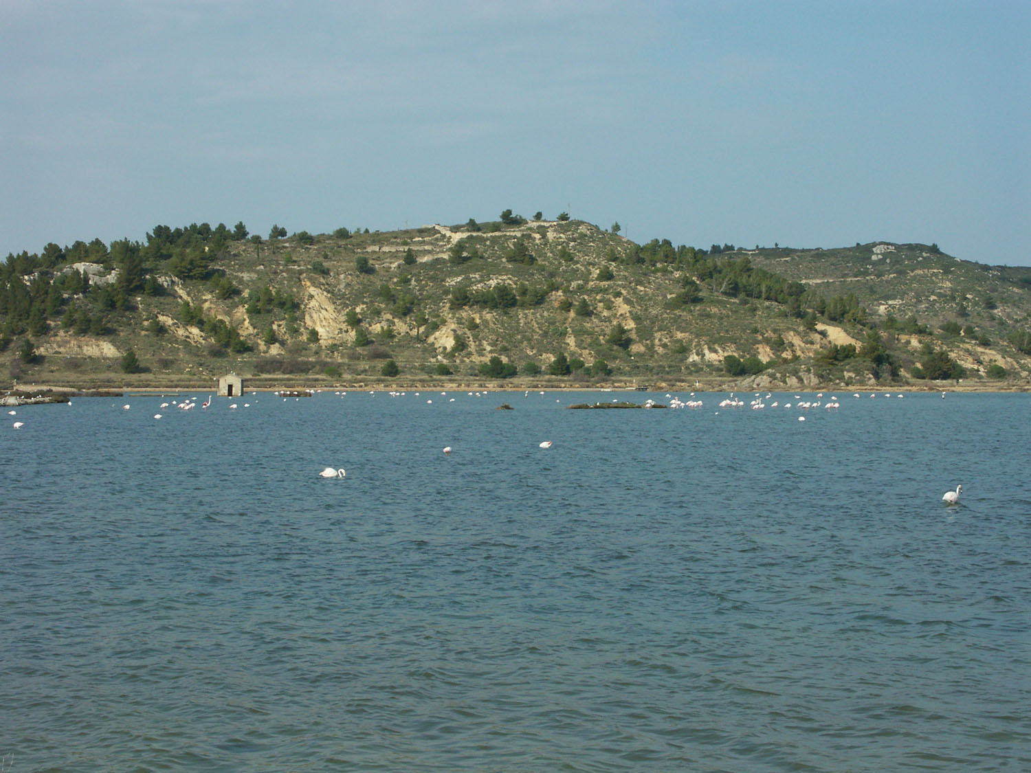 Fonds d'cran Nature Lacs - Etangs Languedoc/Roussillon