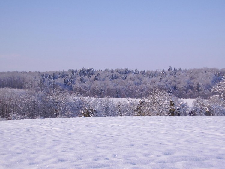 Fonds d'cran Nature Saisons - Hiver Campagne Normande sous la neige