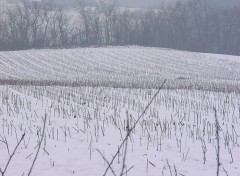 Fonds d'cran Nature c'est l'hiver