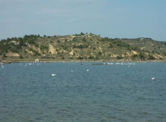 Fonds d'cran Nature Languedoc/Roussillon