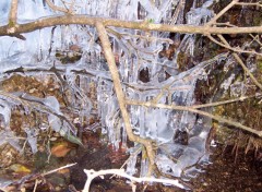 Fonds d'cran Nature Petites stalagtites