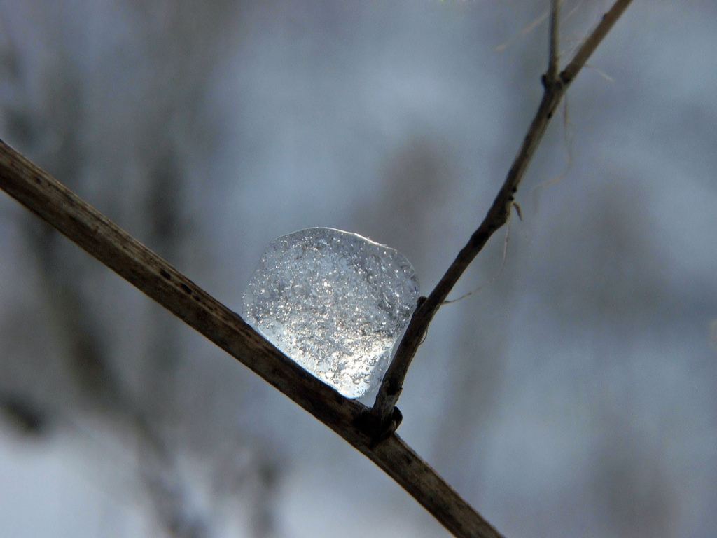 Fonds d'cran Nature Saisons - Hiver Saison d'hiver