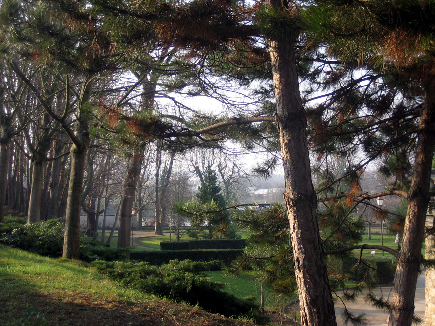 Fonds d'cran Nature Parcs - Jardins Au dtour du Parc Senet!!