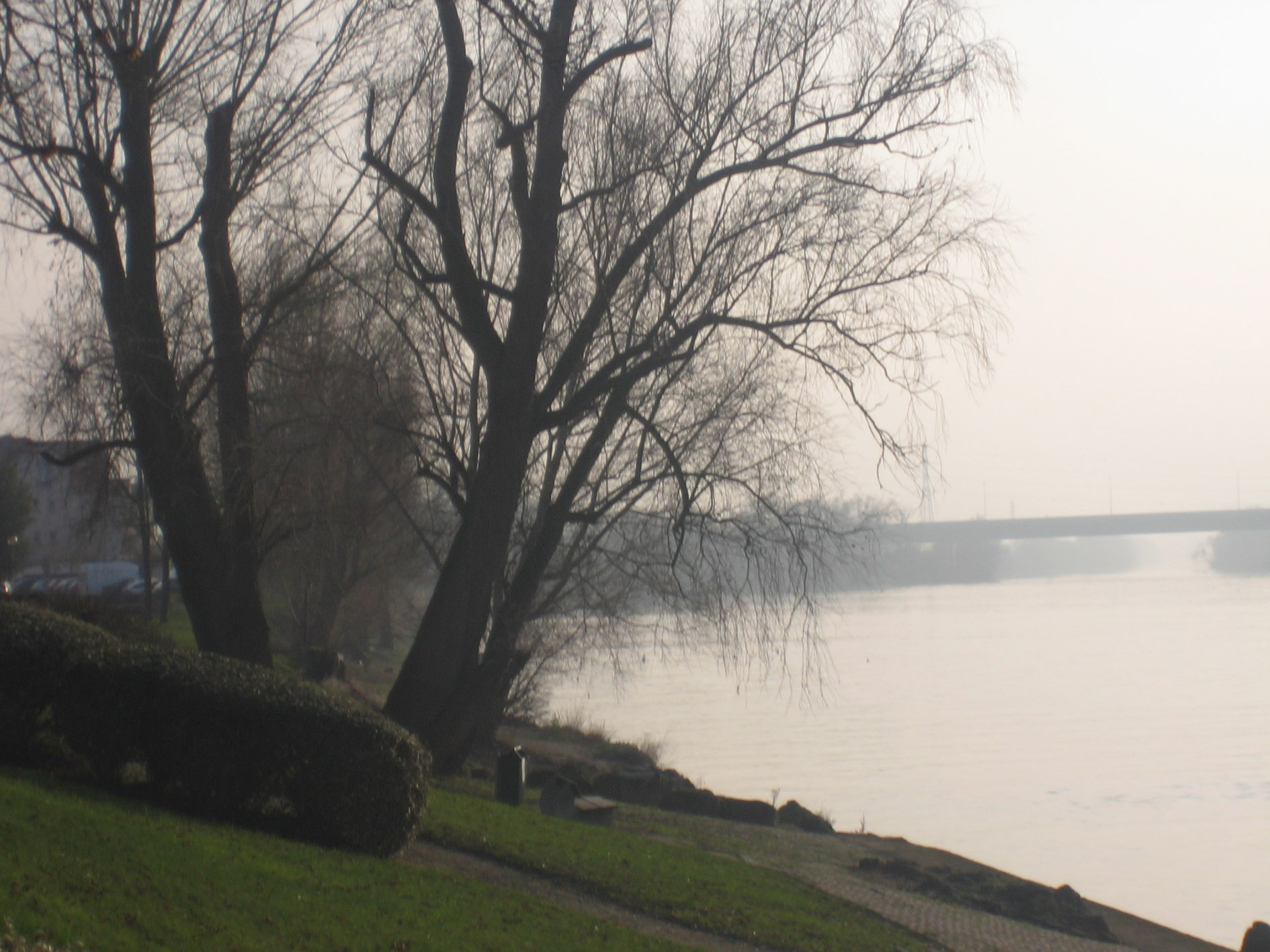 Fonds d'cran Nature Fleuves - Rivires - Torrents Les brumes de 