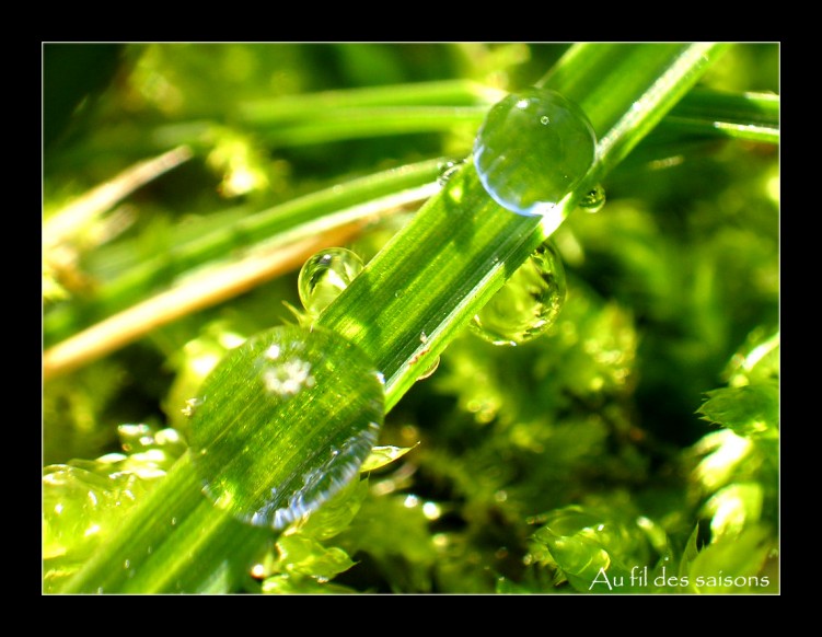 Fonds d'cran Nature Eau La puret...