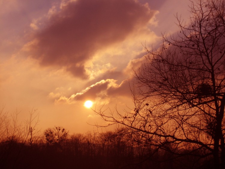 Fonds d'cran Nature Couchers et levers de Soleil Feux ardent