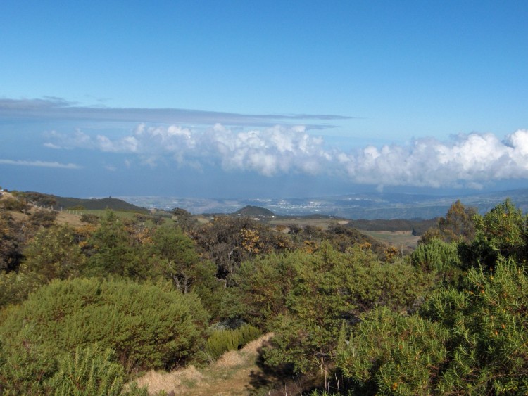 Fonds d'cran Voyages : Afrique La Runion De Saint Louis  la Plaine des Caffres